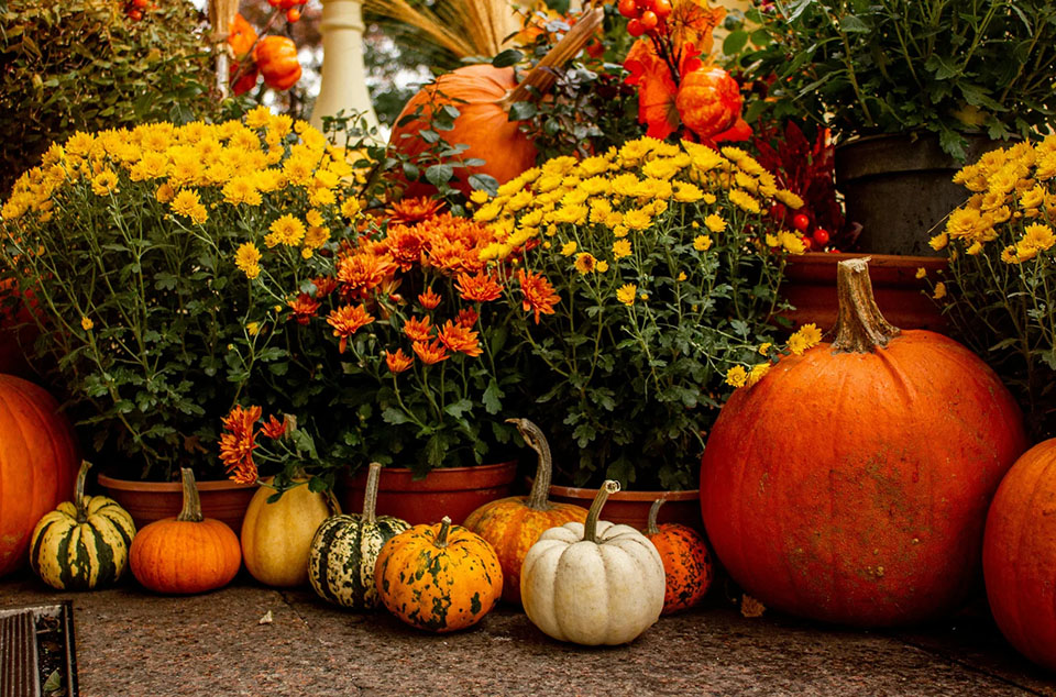 Lakewood Ranch Octoberfest
